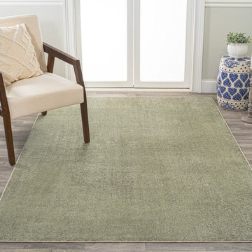 Twyla Classic Solid Low-Pile Machine-Washable Area Rug